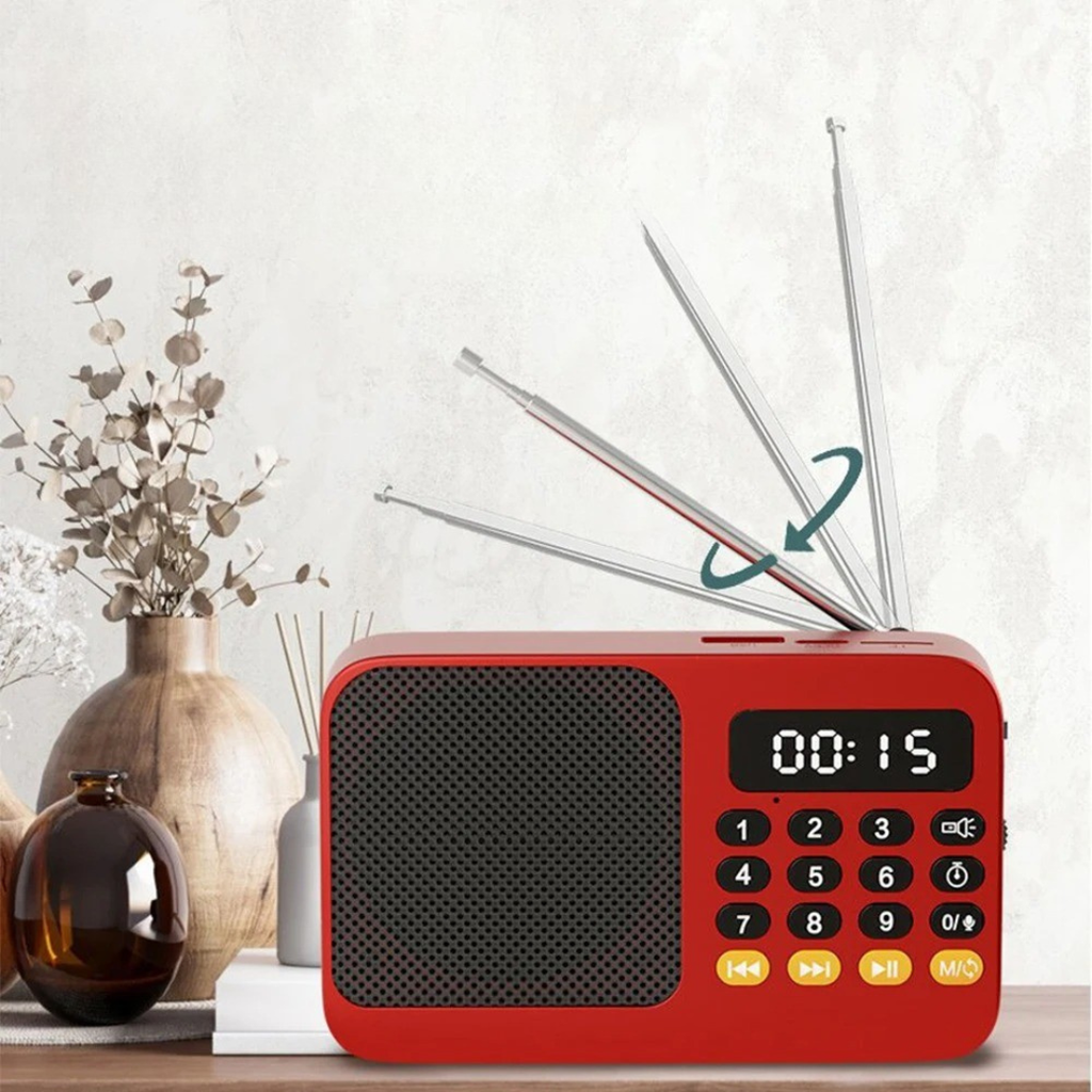 AureoWave Tragbarer wiederaufladbarer Radio-Bluetooth-Lautsprecher