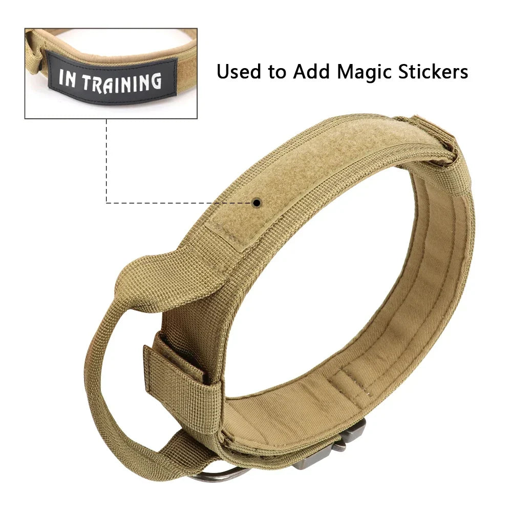 Tactical Hundehalsband & Leinen-Set